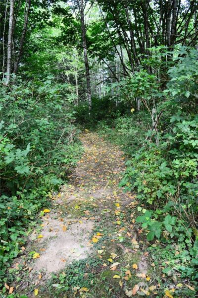 954 Kings View Lane , Sedro Woolley, WA 98284 - Photo 31