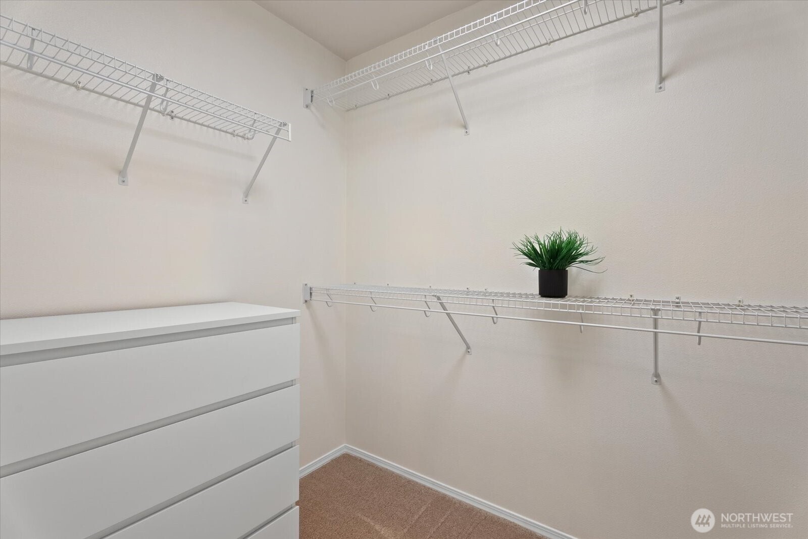 1905 24th Avenue NE #202, Issaquah, WA 98029