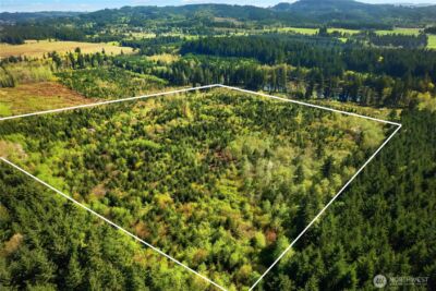 0 40 acres 185th Avenue SE, Tenino, WA 98589 - Photo 1