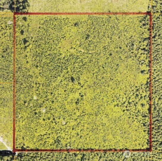 0 40 acres 185th Avenue SE, Tenino, WA 98589