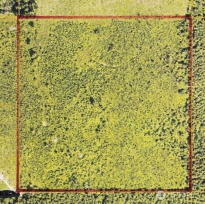 0 40 acres 185th Avenue SE, Tenino, WA 98589 - Photo 11