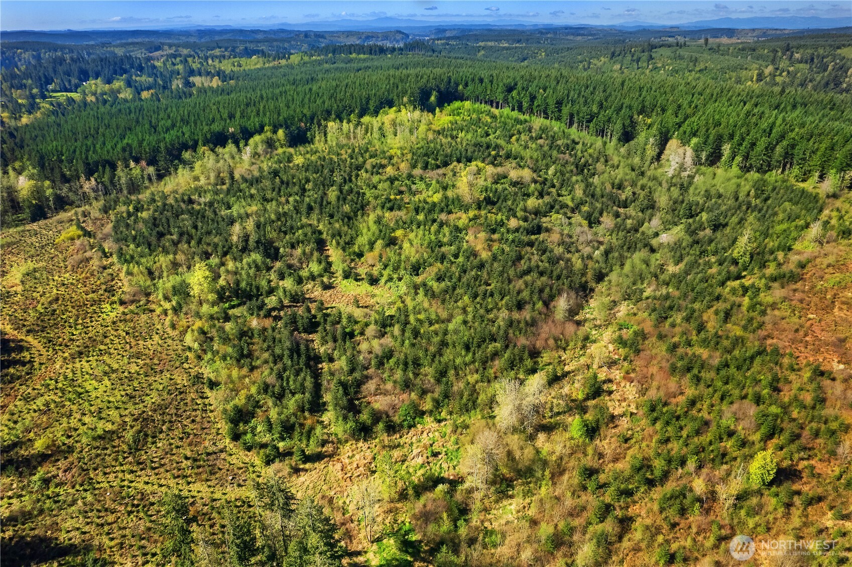 0 40 acres 185th Avenue SE, Tenino, WA 98589