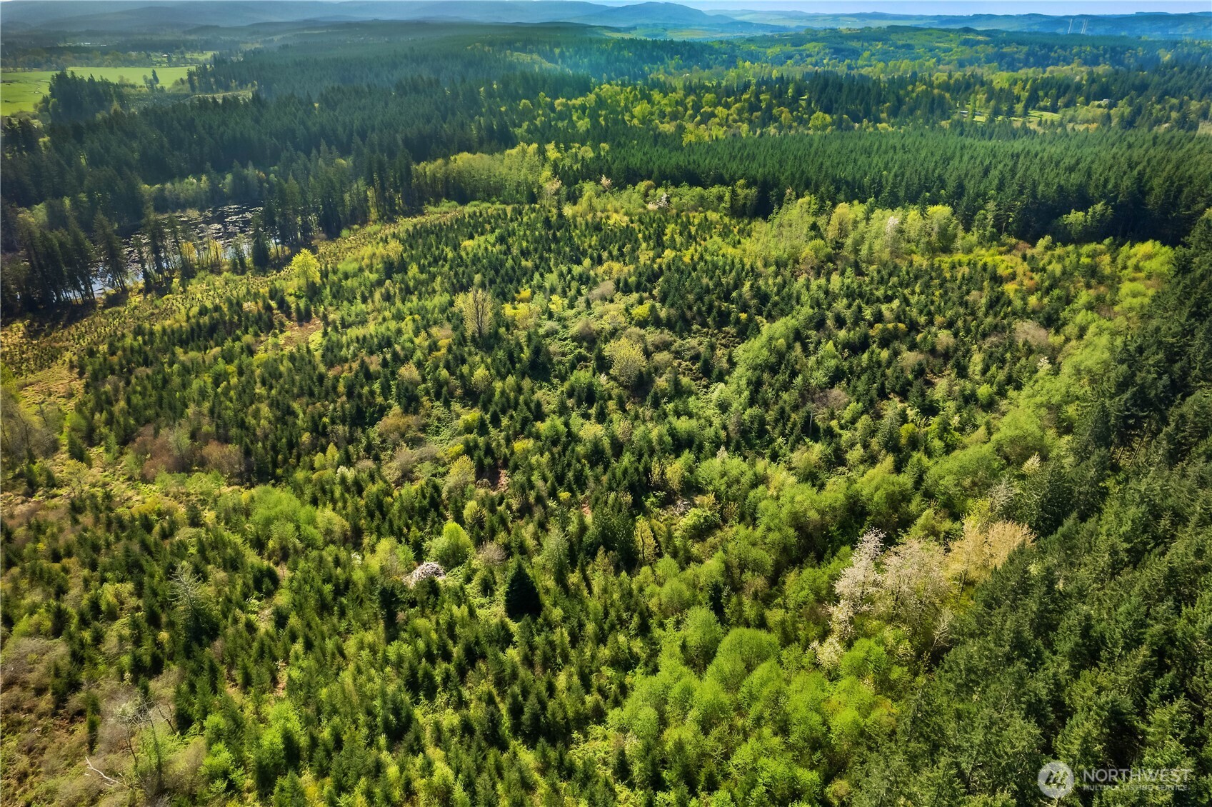 0 40 acres 185th Avenue SE, Tenino, WA 98589