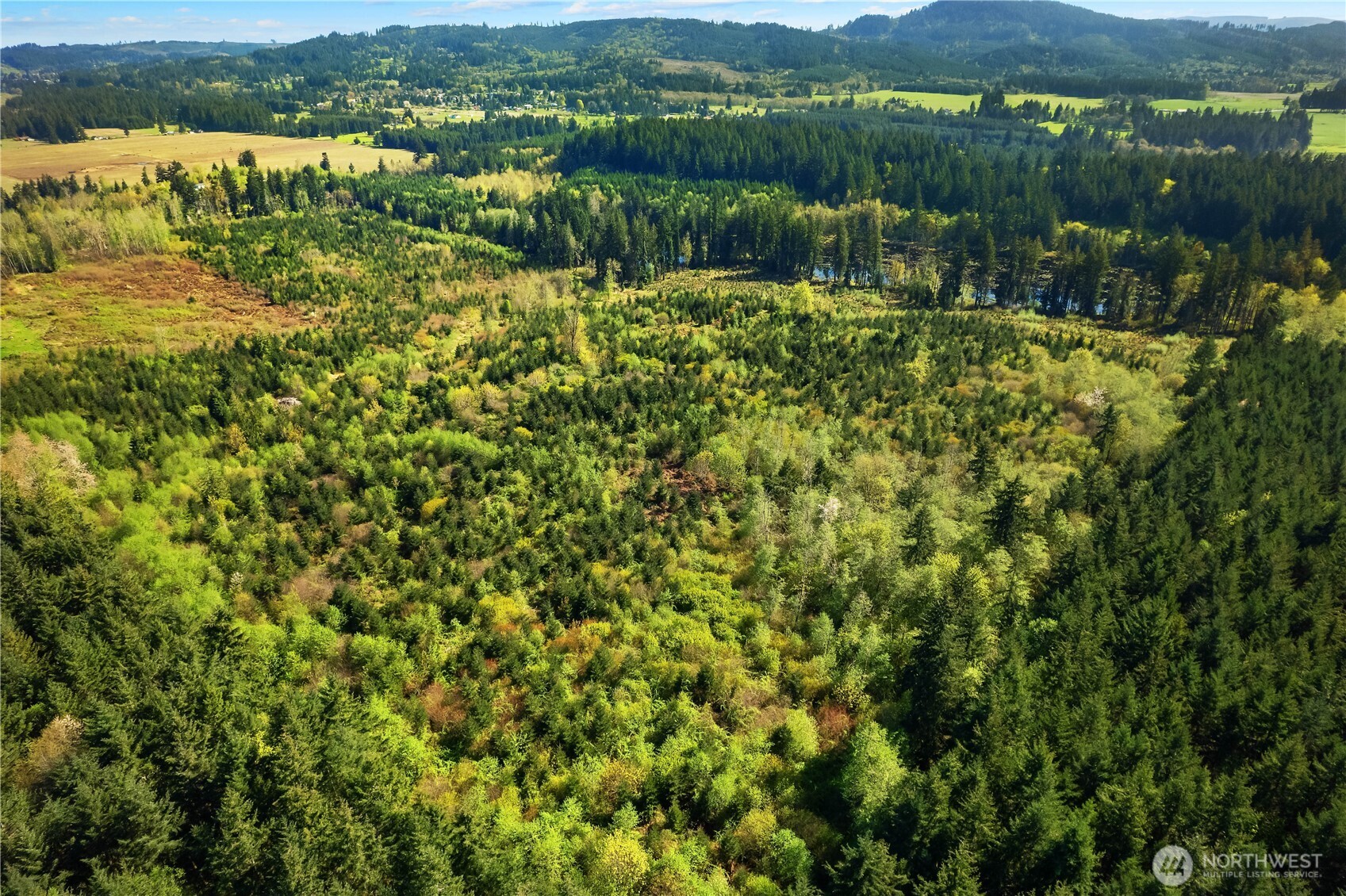 0 40 acres 185th Avenue SE, Tenino, WA 98589