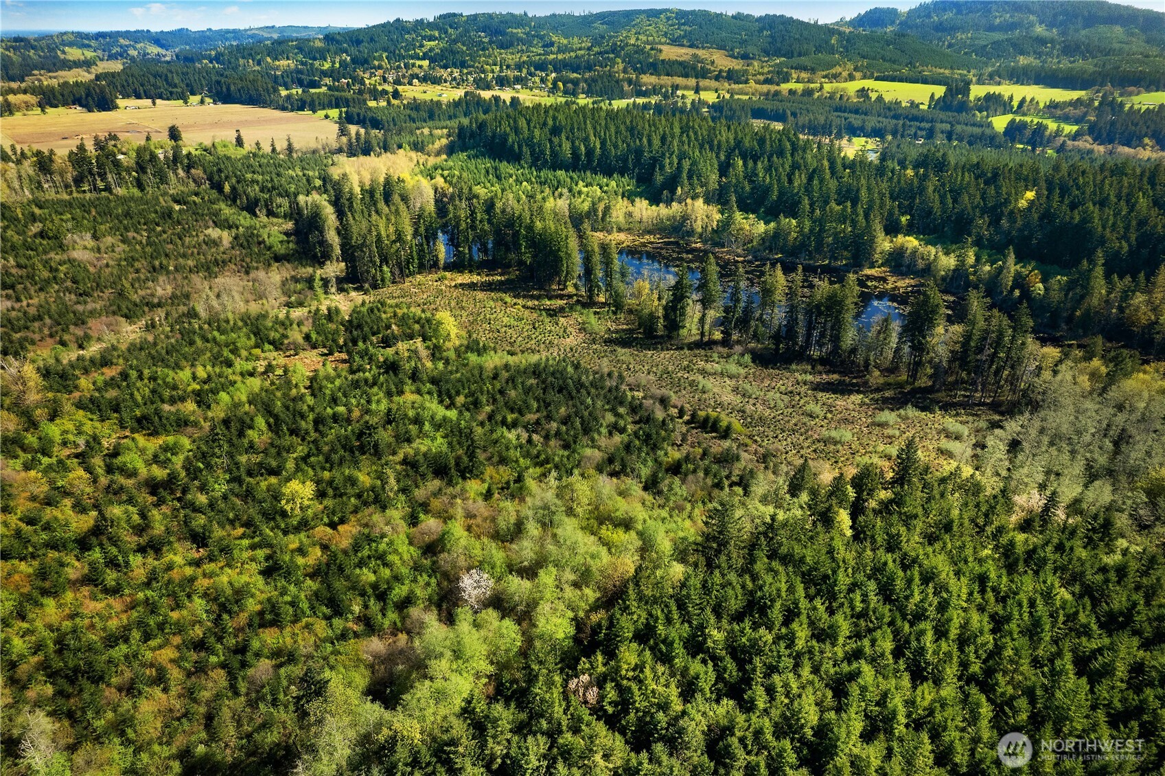 0 40 acres 185th Avenue SE, Tenino, WA 98589