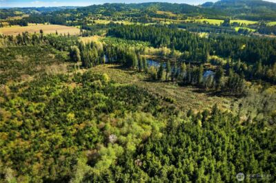 0 40 acres 185th Avenue SE, Tenino, WA 98589 - Photo 7