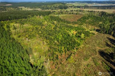 0 40 acres 185th Avenue SE, Tenino, WA 98589 - Photo 9