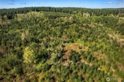 0 40 acres 185th Avenue SE, Tenino, WA 98589 - Photo 10