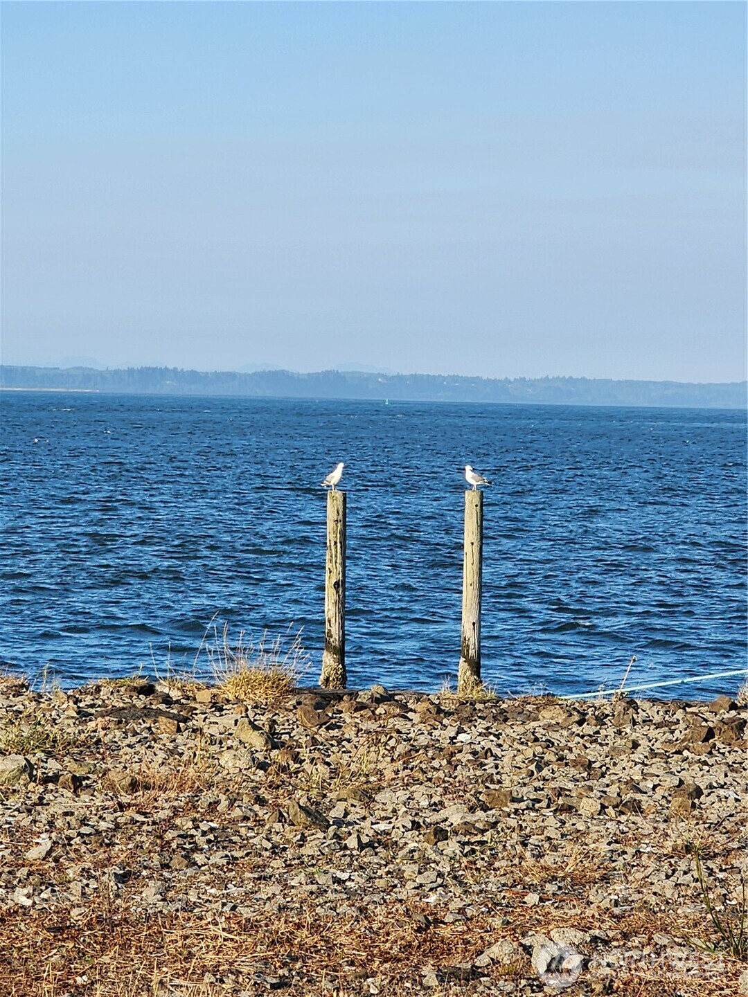 871 Neddie Rose Drive , Westport, WA 98595