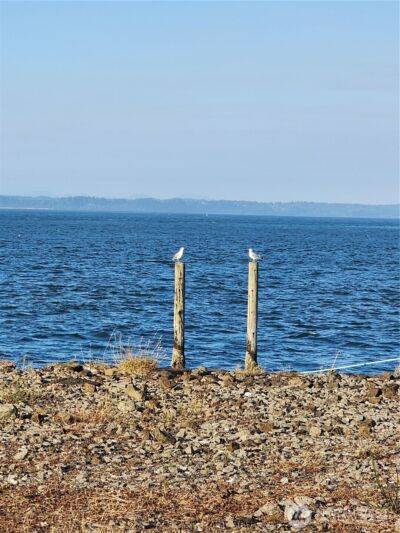 871 Neddie Rose Drive , Westport, WA 98595 - Photo 6