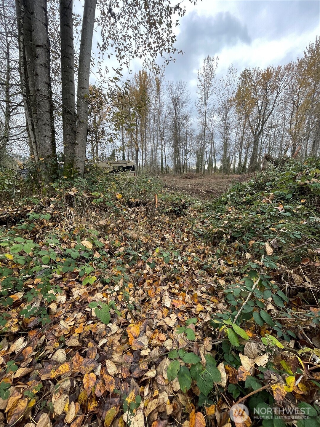 30598 100th Avenue SE, Auburn, WA 98092