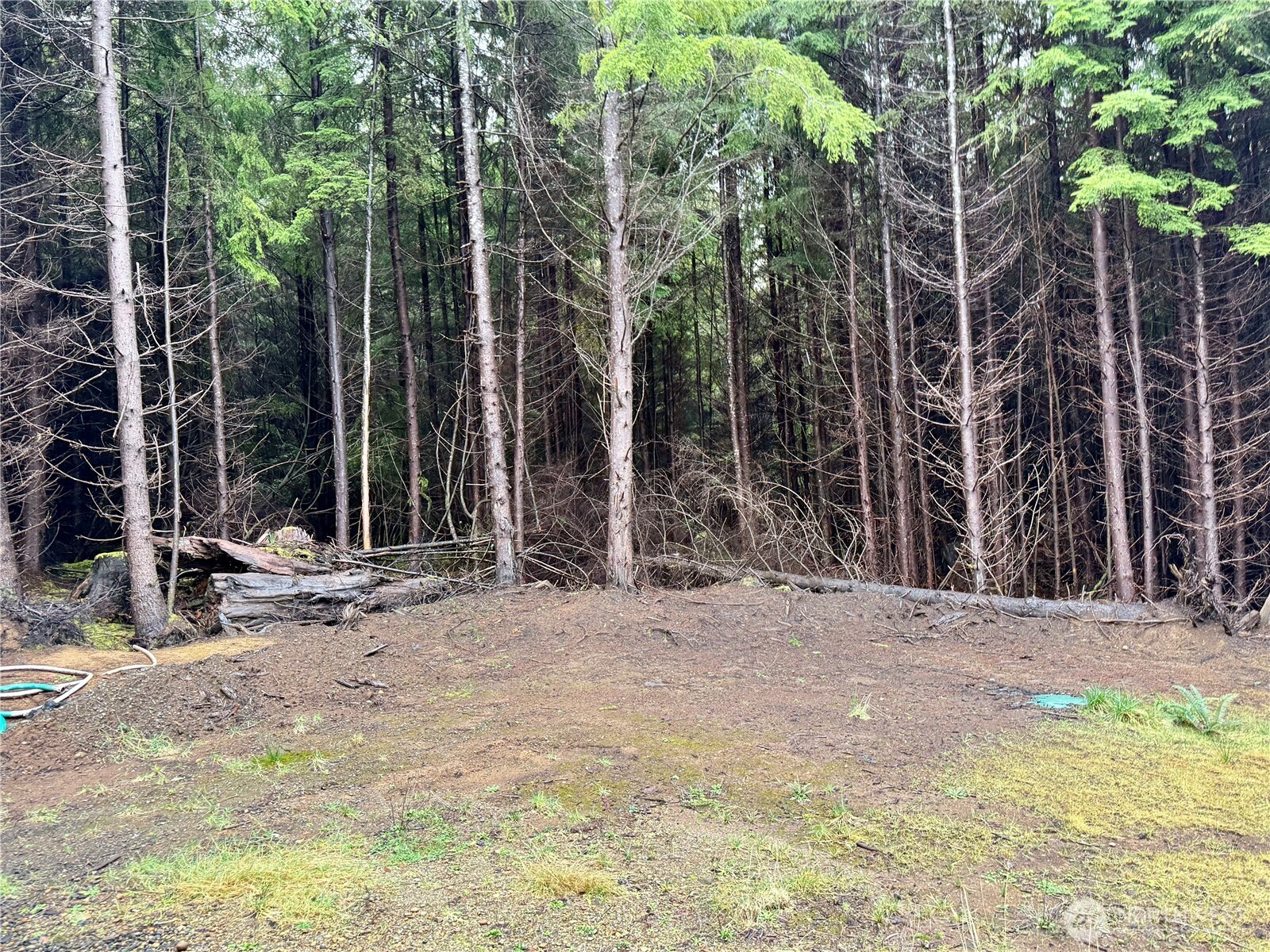 97 Dempsey Creek Lane , Aberdeen, WA 98520