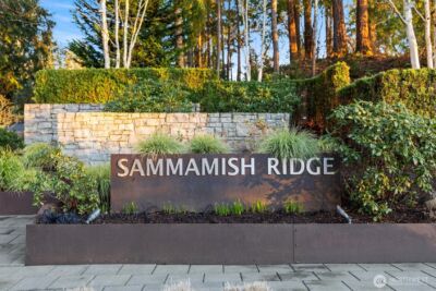 18858 NE 49th Place , Sammamish, WA 98074 - Photo 39