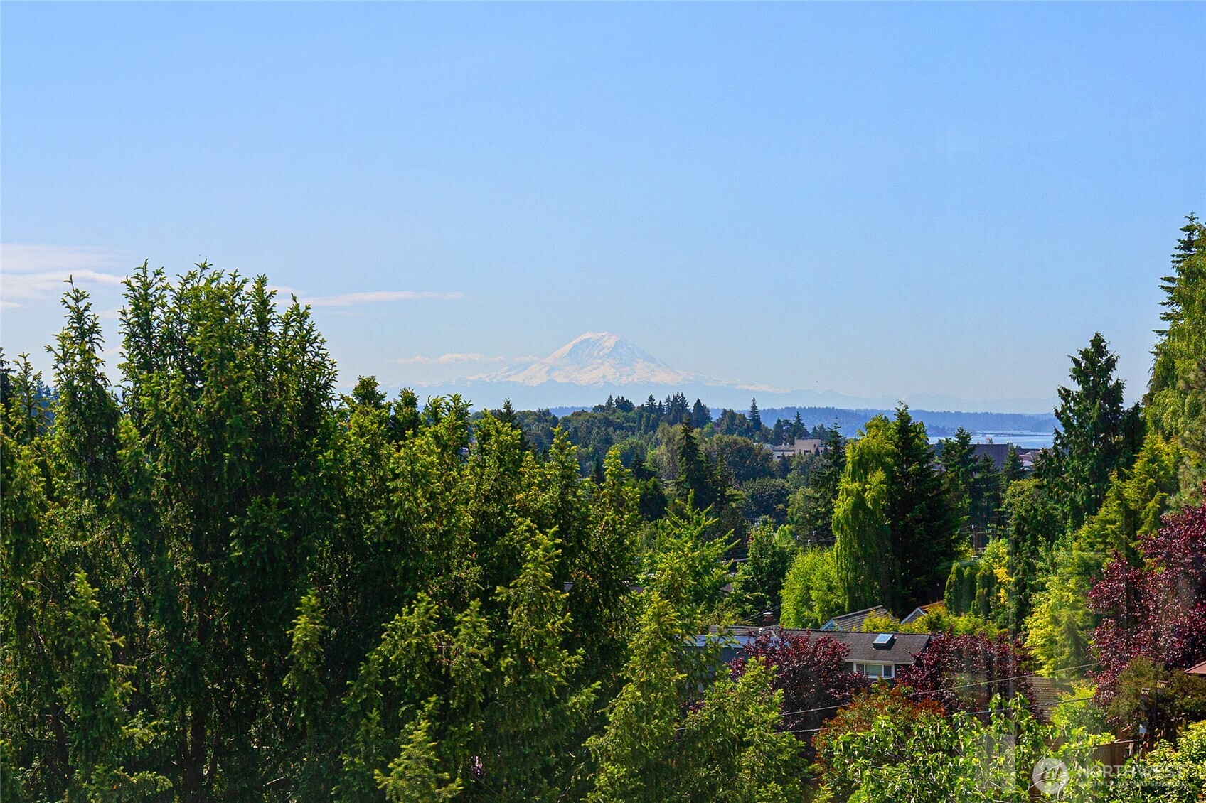 6222 37th Avenue NE, Seattle, WA 98115