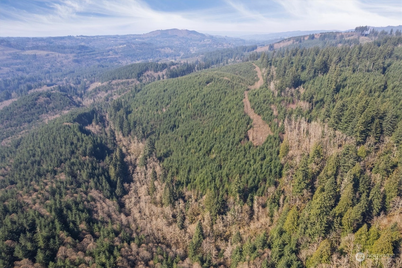 0 Cedar Mist Road , Amboy, WA 98601