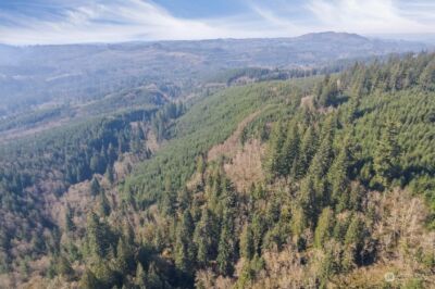 0 Cedar Mist Road , Amboy, WA 98601 - Photo 12