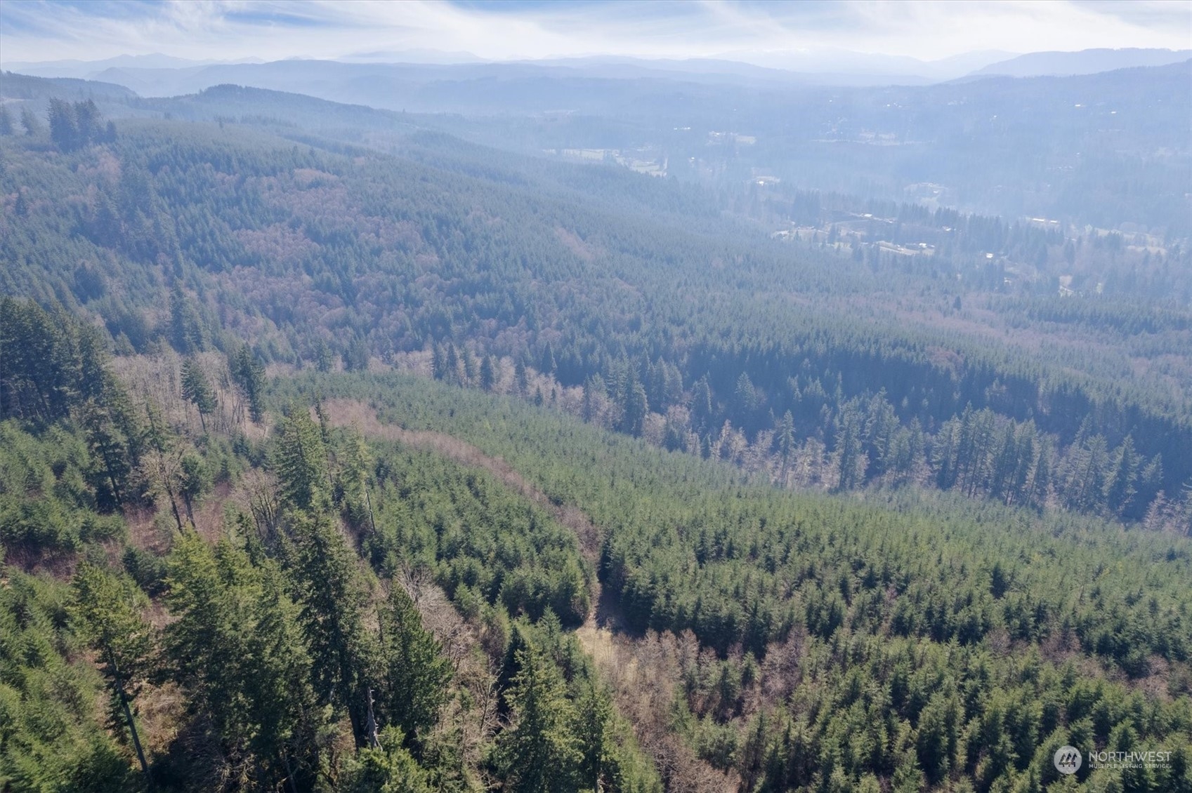 0 Cedar Mist Road , Amboy, WA 98601