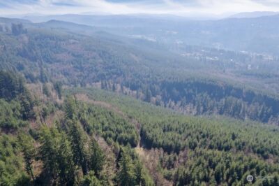 0 Cedar Mist Road , Amboy, WA 98601 - Photo 13