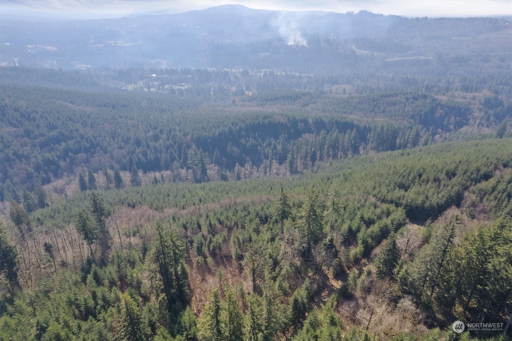 0 Cedar Mist Road , Amboy, WA 98601