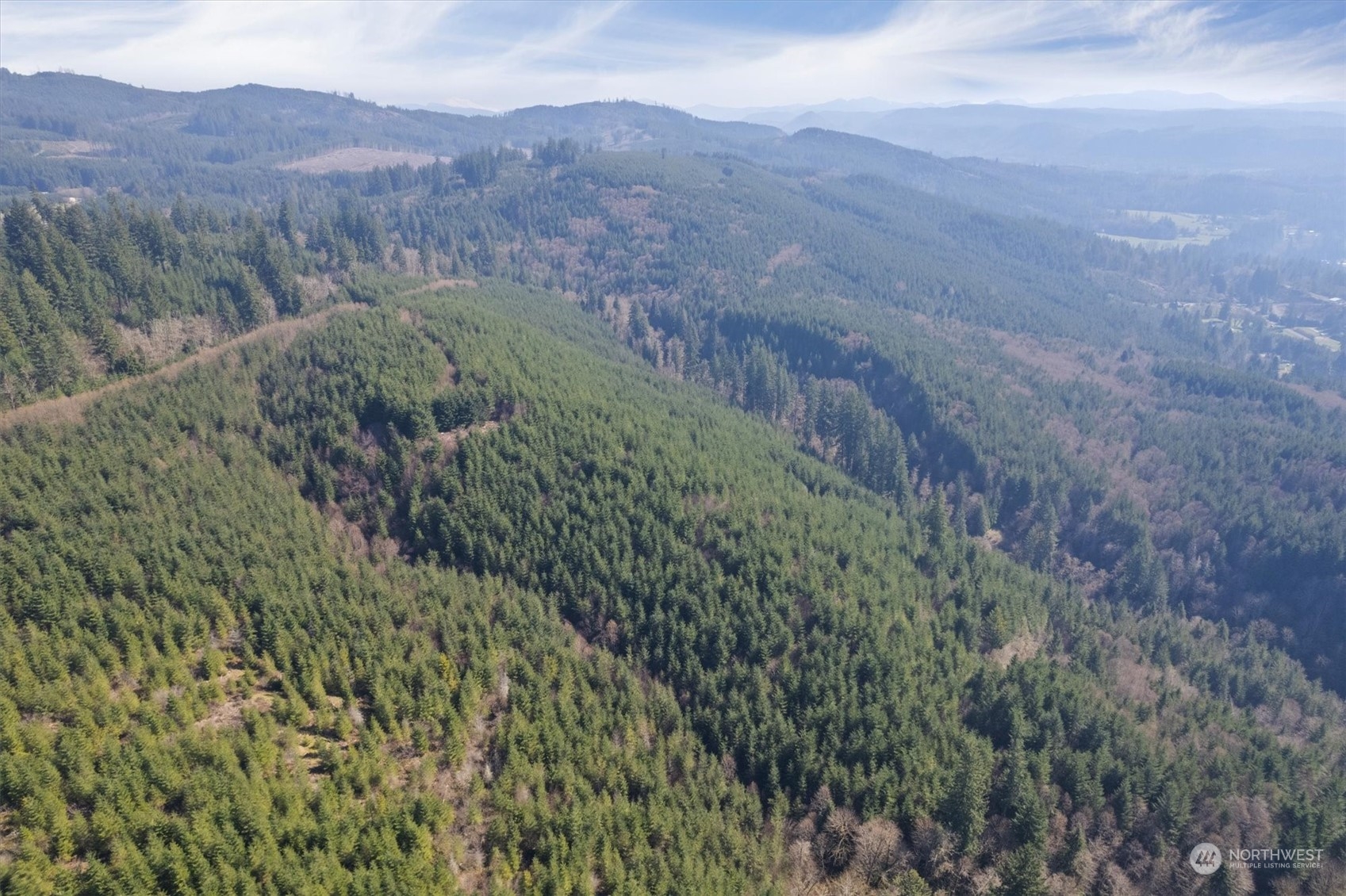 0 Cedar Mist Road , Amboy, WA 98601