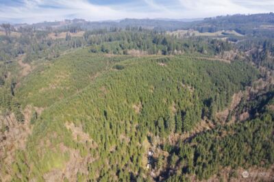 0 Cedar Mist Road , Amboy, WA 98601 - Photo 4