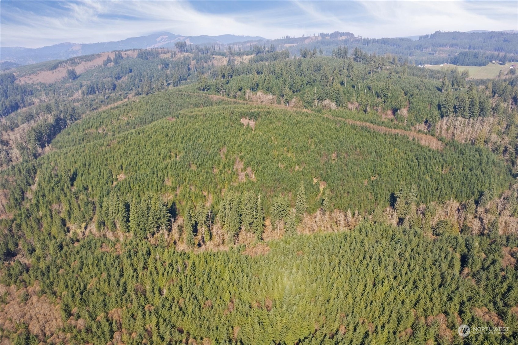 0 Cedar Mist Road , Amboy, WA 98601