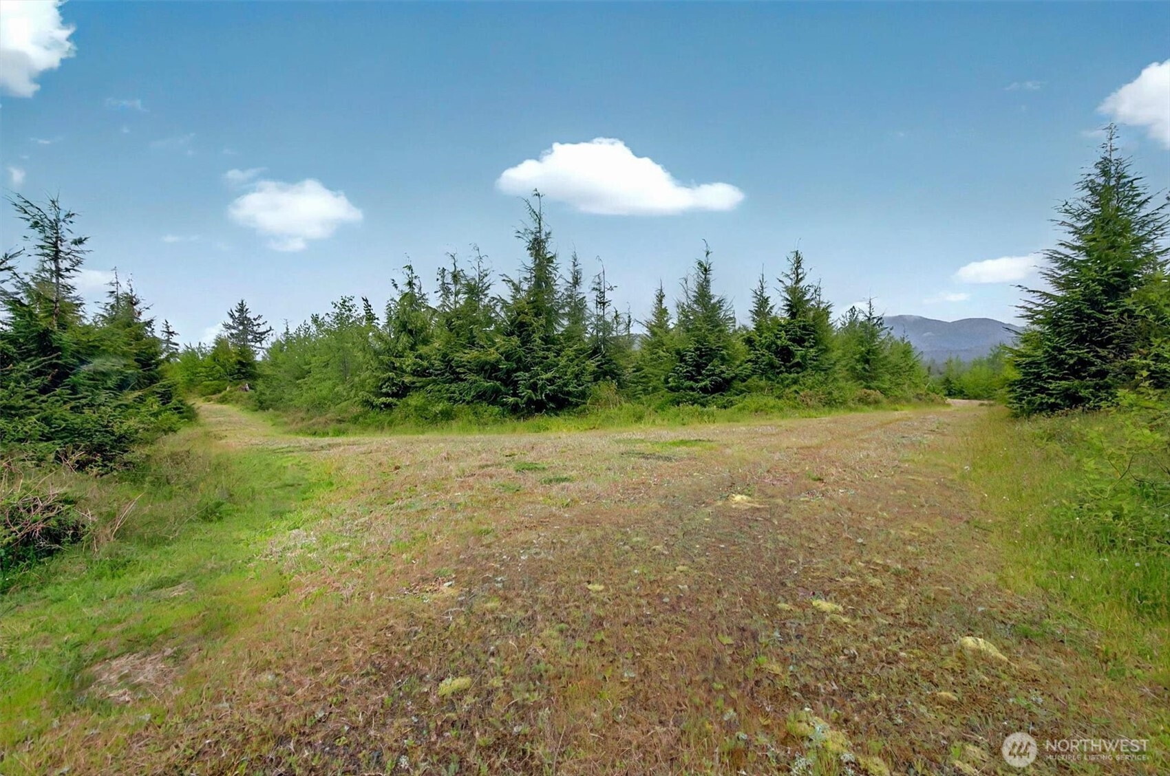 5 Parpala Road #5, Naselle, WA 98638