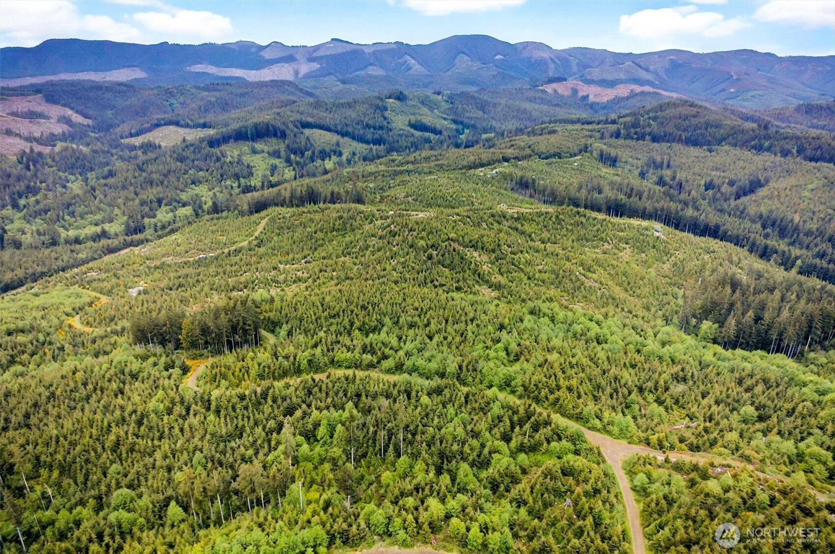 5 Parpala Road #5, Naselle, WA 98638