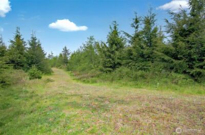 5 Parpala Road #5, Naselle, WA 98638 - Photo 12