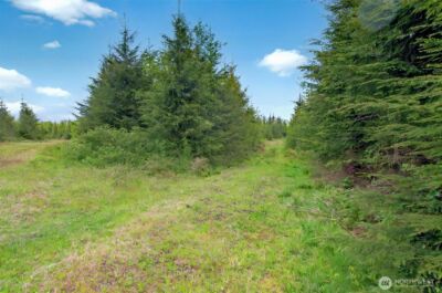 5 Parpala Road #5, Naselle, WA 98638 - Photo 13