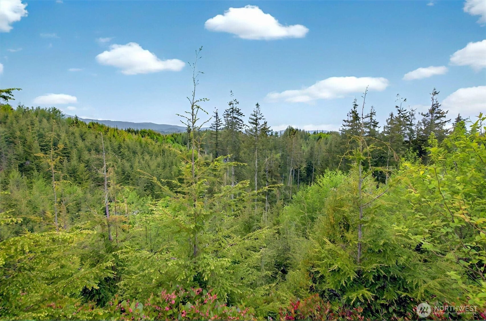 5 Parpala Road #5, Naselle, WA 98638