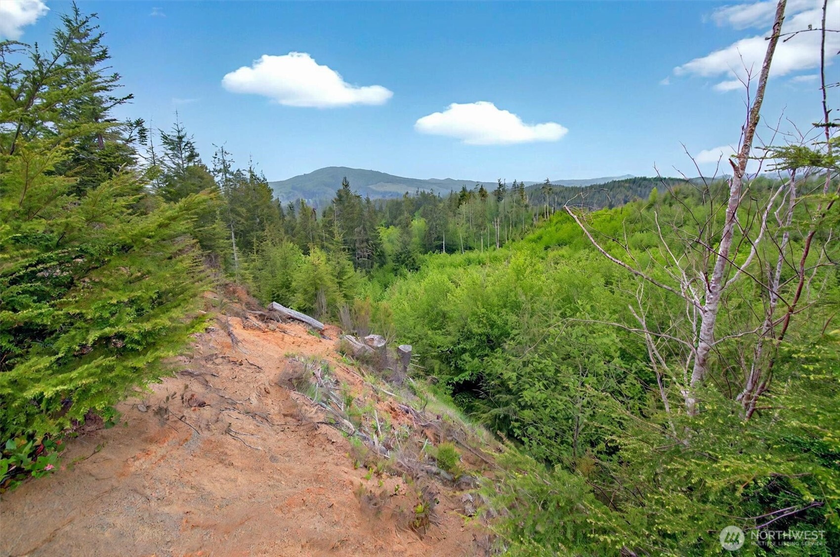 5 Parpala Road #5, Naselle, WA 98638