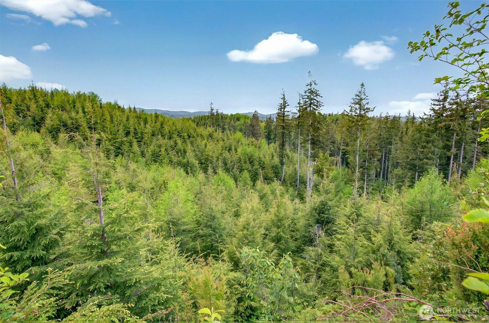 5 Parpala Road #5, Naselle, WA 98638