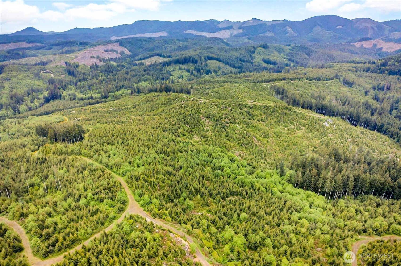 5 Parpala Road #5, Naselle, WA 98638