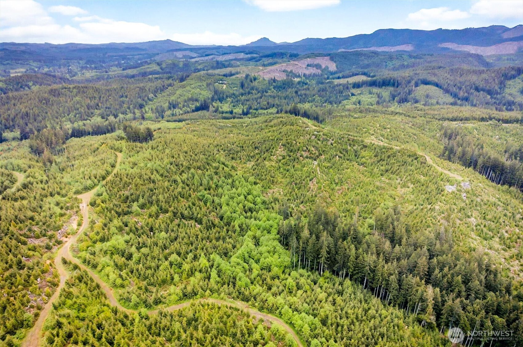 5 Parpala Road #5, Naselle, WA 98638