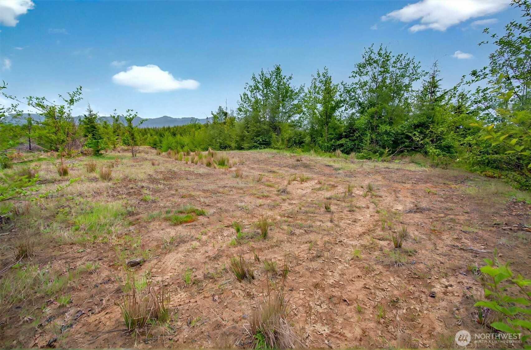 5 Parpala Road #5, Naselle, WA 98638