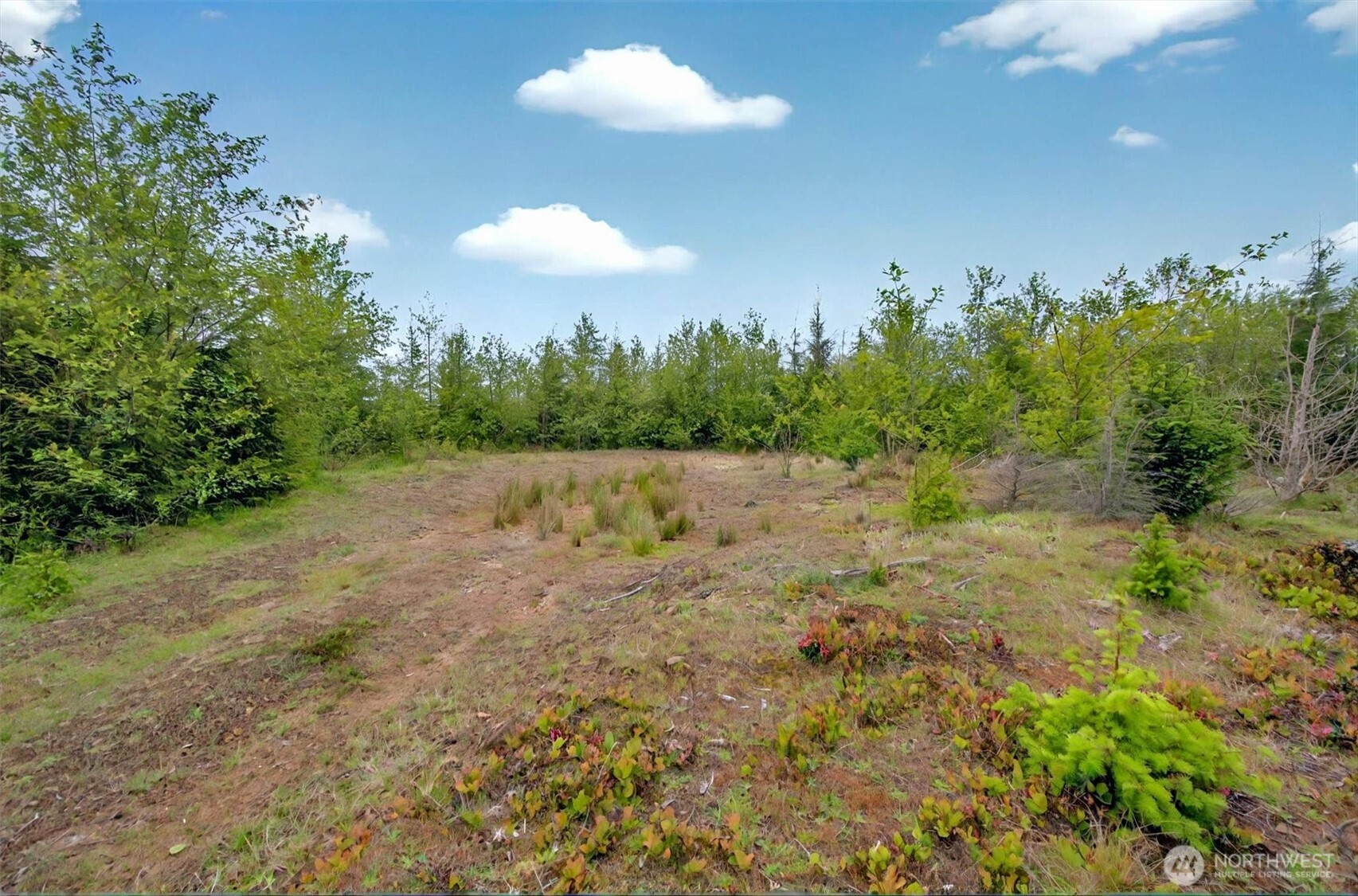 5 Parpala Road #5, Naselle, WA 98638