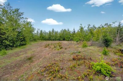 5 Parpala Road #5, Naselle, WA 98638 - Photo 5