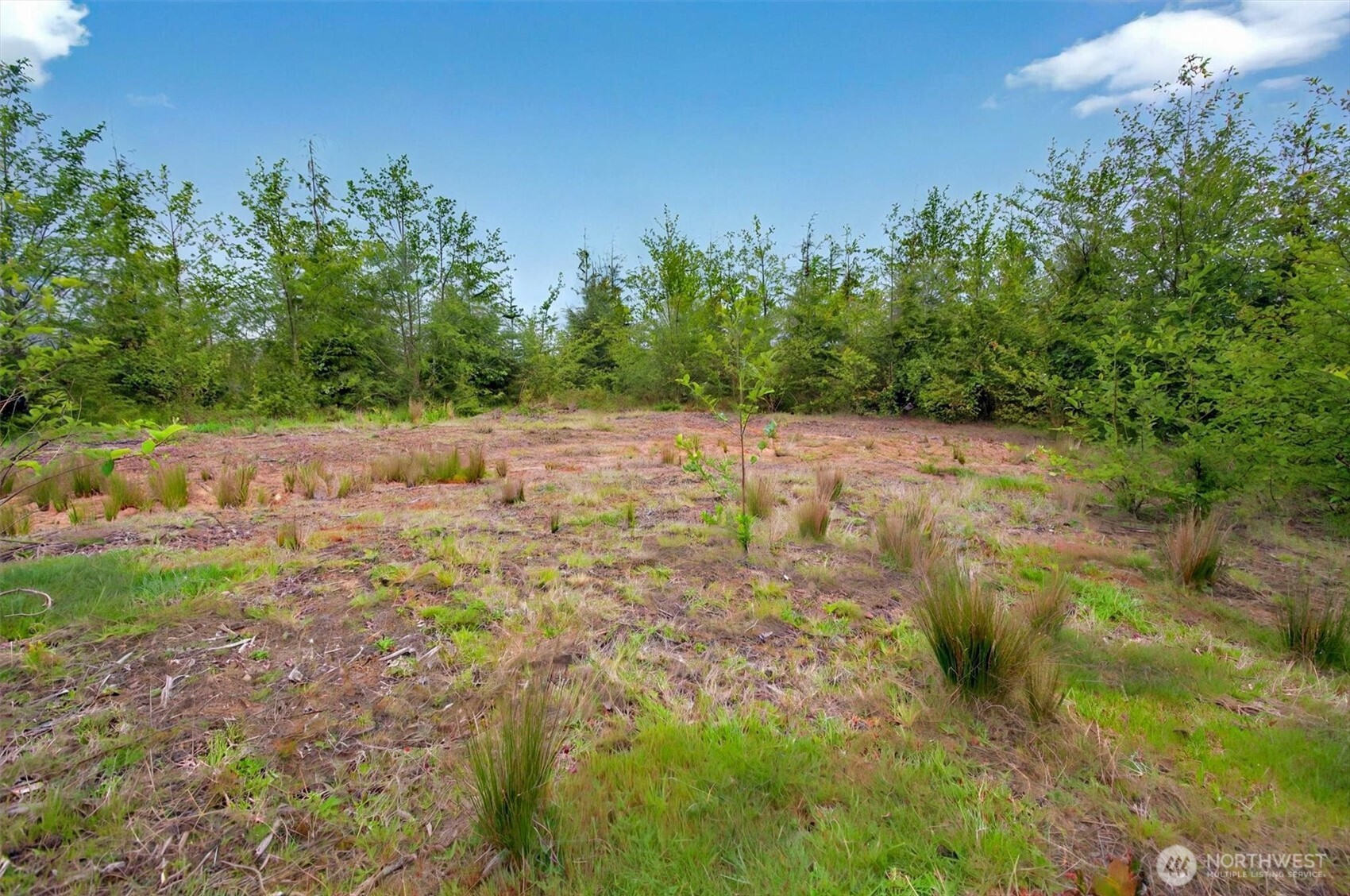 5 Parpala Road #5, Naselle, WA 98638