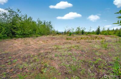 5 Parpala Road #5, Naselle, WA 98638 - Photo 7