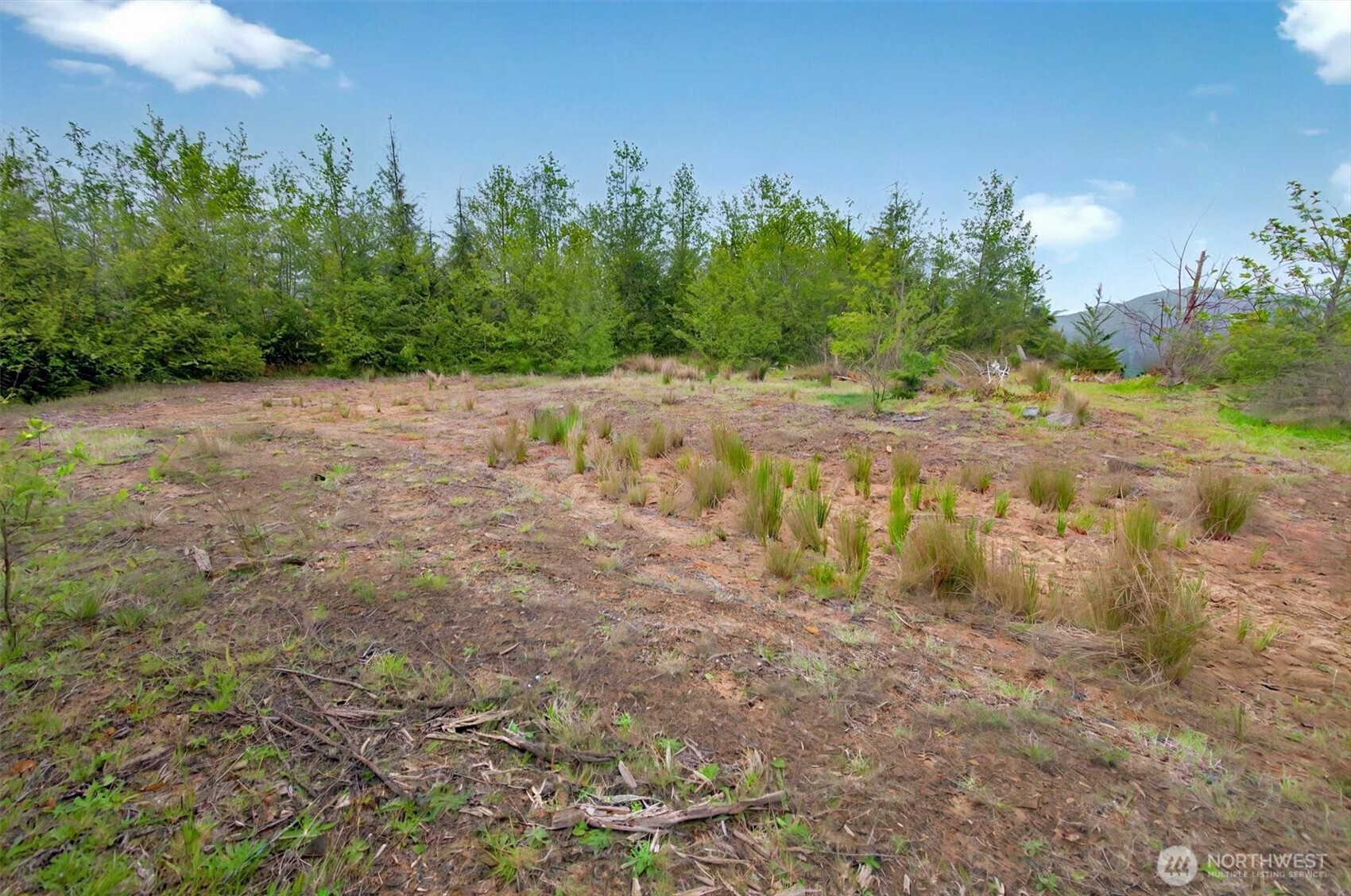 5 Parpala Road #5, Naselle, WA 98638