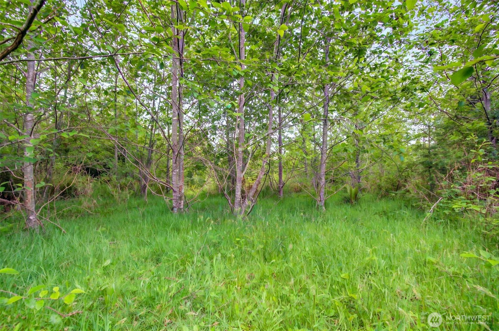 5 Parpala Road #5, Naselle, WA 98638