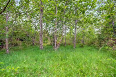 5 Parpala Road #5, Naselle, WA 98638 - Photo 9