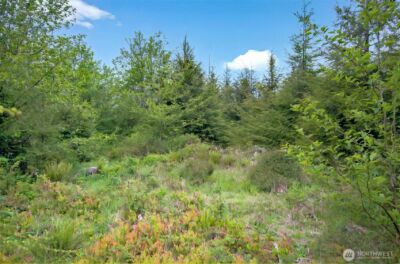 5 Parpala Road #5, Naselle, WA 98638 - Photo 10