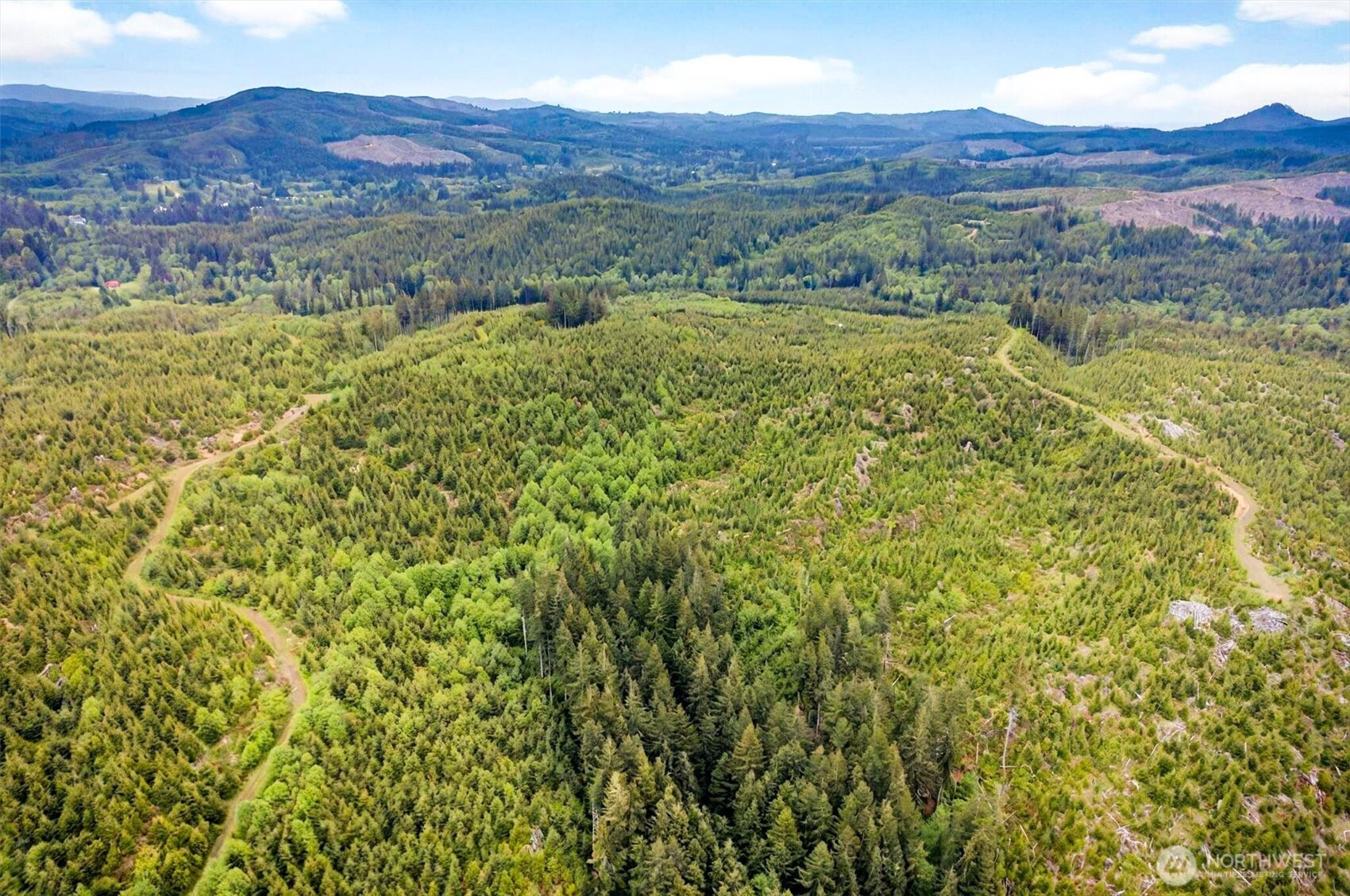 4 Parpala Road #4, Naselle, WA 98638