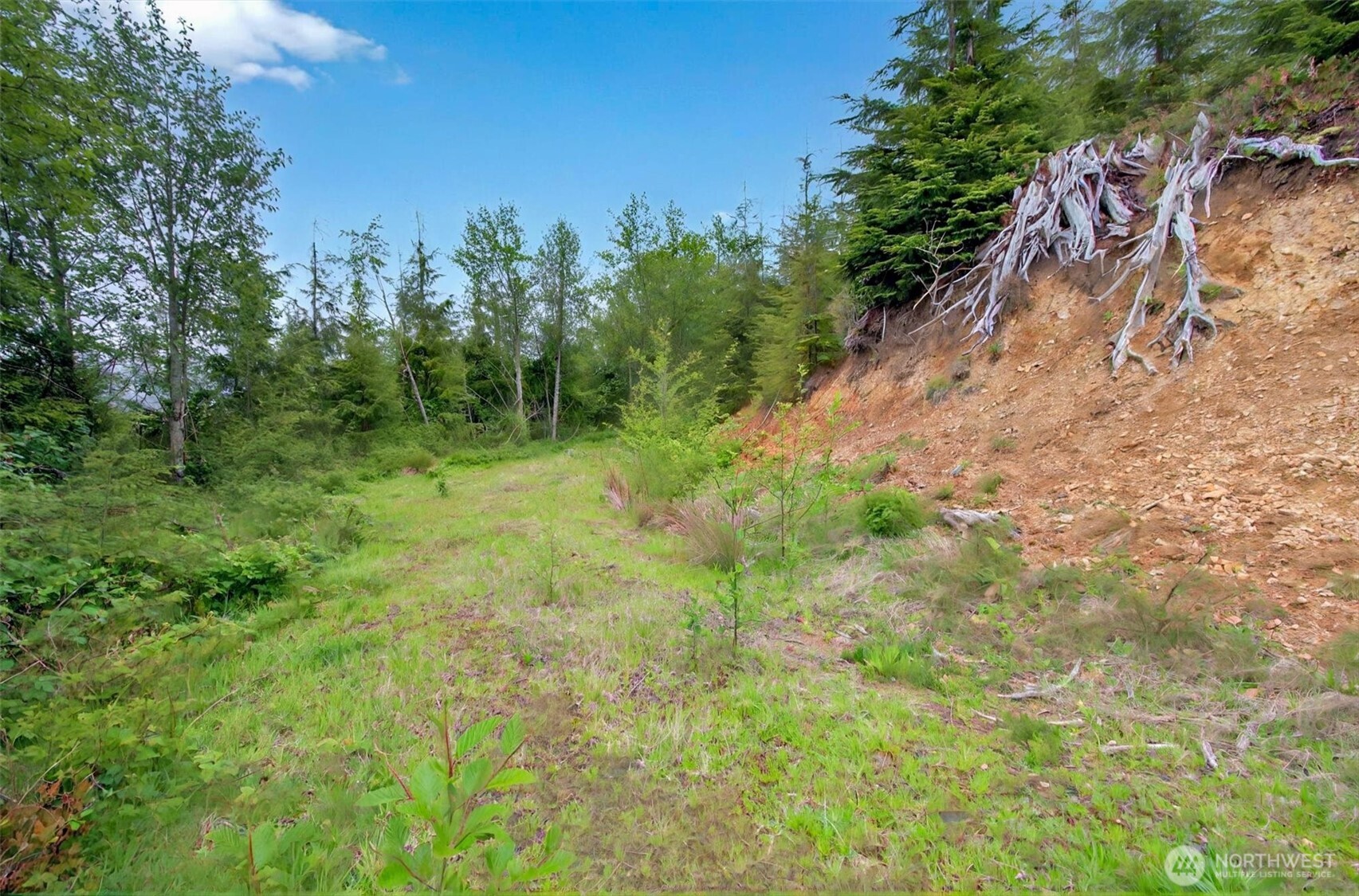 4 Parpala Road #4, Naselle, WA 98638