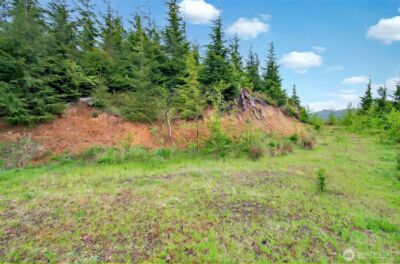 4 Parpala Road #4, Naselle, WA 98638 - Photo 12