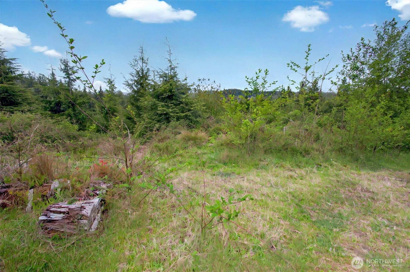 4 Parpala Road #4, Naselle, WA 98638