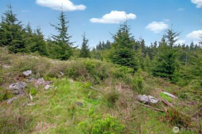 4 Parpala Road #4, Naselle, WA 98638 - Photo 14