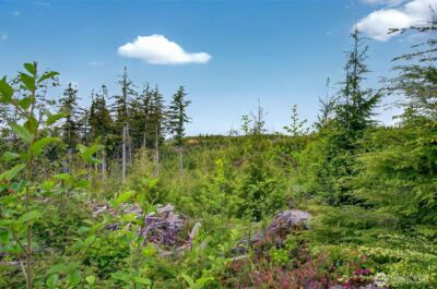 4 Parpala Road #4, Naselle, WA 98638 - Photo 16